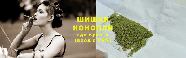 ГАЛЛЮЦИНОГЕННЫЕ ГРИБЫ Вязники